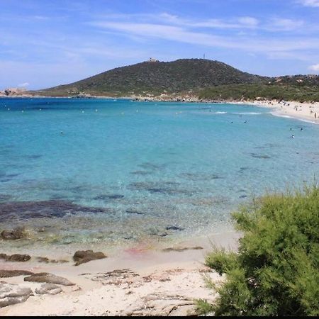 T2 Neuf Climatise Dans Villa A Corbara Exterior foto
